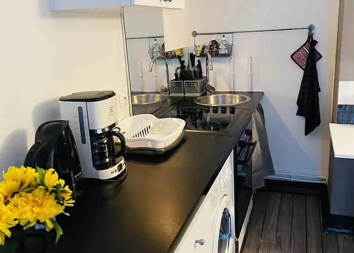 Comfortable Studio In Clichy